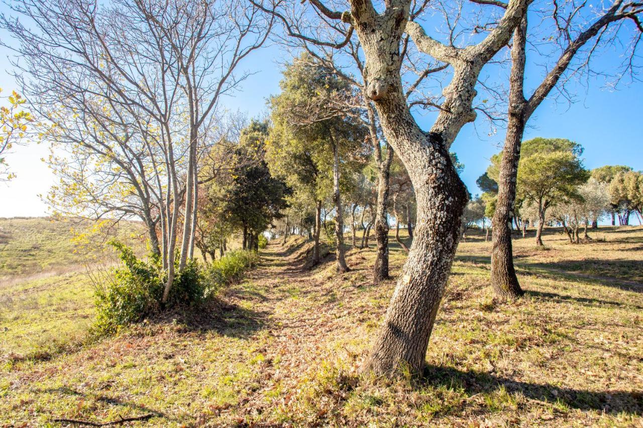 ホテル Glamping Debbiare リパルベッラ エクステリア 写真
